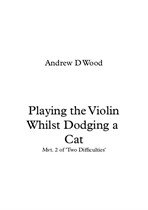 Playing the Violin Whilst Dodging a Cat